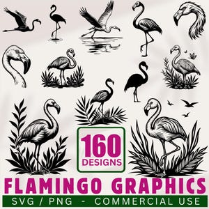 Pode incluir: Uma coleção de 160 gráficos de flamingos em várias poses e estilos, incluindo silhuetas e ilustrações detalhadas. Os desenhos apresentam flamingos em pé, voando e em perfil, rodeados por folhagem. O texto "FLAMINGO GRAPHICS" e "160 DESIGNS" também está incluído.