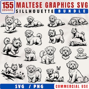 Puede incluir: Una colección de 155 gráficos de perros malteses en formato silueta SVG. Los diseños presentan varias poses de los perros blancos y esponjosos, incluyendo correr, sentarse y acostarse. La imagen incluye el texto "Maltese Graphics SVG Silhouette Bundle."