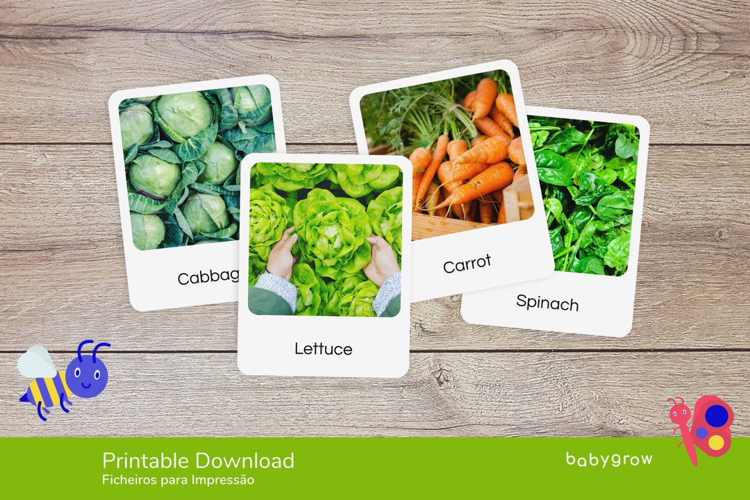 Real Vegetables Flashcards for Babies and Toddlers | Photos | Images ...