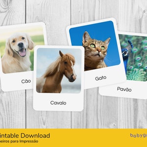 May include: Four printable flashcards featuring images of a dog, cat, horse, and peacock. Each card has the animal's name written below the image in Portuguese.