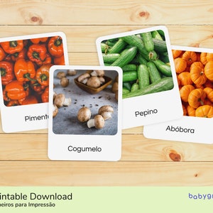 Könnte beinhalten: Vier Karten mit Bildern von Gemüse: rote Paprika, Gurken, Pilze und kleine Kürbisse. Die Karten sind mit "Pimento", "Pepino", "Cogumelo" und "Abóbora" beschriftet. Der Hintergrund ist eine helle Holzoberfläche.