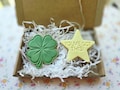 Exam, GCSE, A-Levels Good Luck Biscuit Set