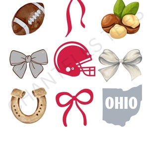 Ohio Bows PNG