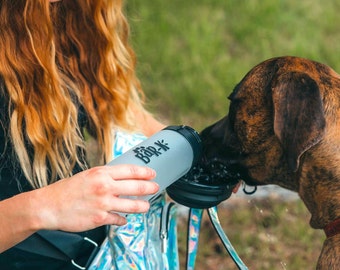 Collapsible Dog Bowl & Water Bottle Kit: Black Silicone Travel Accessories