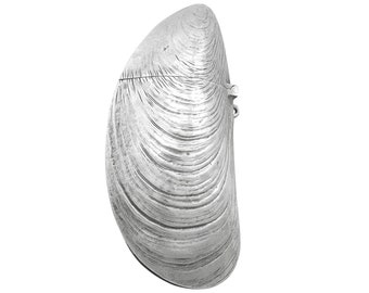 French Silver &#39;Mussel&#39; Vesta Case - Antique Circa 1890