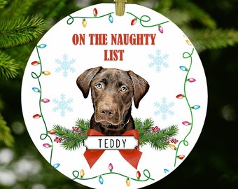 Pet Ornament, Custom Pet Ornament, Personalized Pet Ornament, Dog Photo Ornament, Funny Dog Christmas Gift, Christmas Pet Decor, Dog Gift