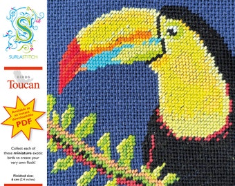 Small Birds - DIY Instant Digital Download PDF Chart - Petit-Point - Toucan