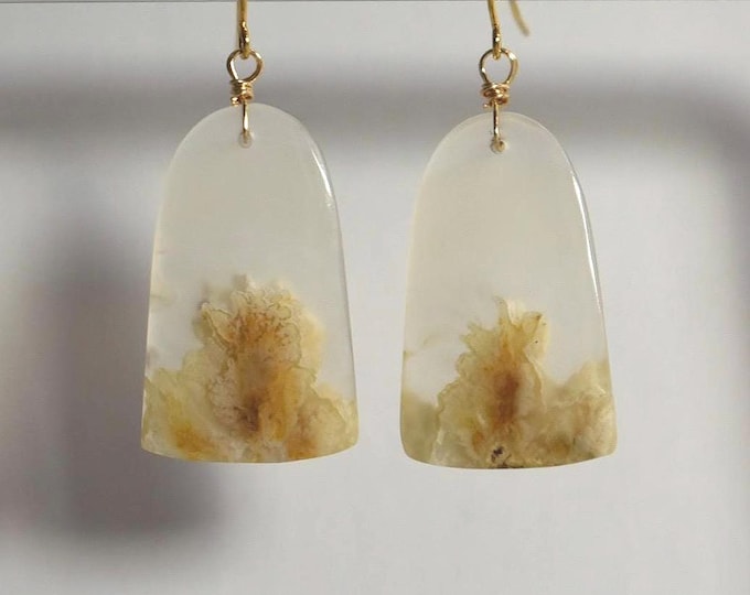 Plume Agate Drop Earrings • Gemstone Dangle Earrings • Natural Stone Jewelry