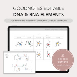 May include: A digital tablet screen displaying a GoodNotes file with editable DNA and RNA elements. The file includes diagrams of the four nitrogenous bases: adenine, guanine, cytosine, and thymine. The file also includes sample structures of DNA and RNA. The text on the screen reads "Editable DNA & RNA elements for GoodNotes".