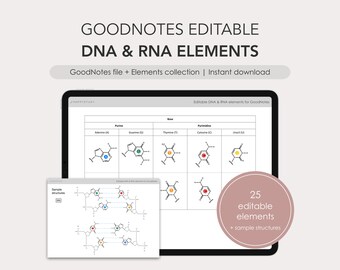 Puede incluir: La pantalla de una tableta digital muestra un archivo de GoodNotes con elementos de ADN y ARN editables. El archivo incluye diagramas de las cuatro bases nitrogenadas: adenina, guanina, citosina y timina. El archivo también incluye estructuras de muestra de ADN y ARN. El texto en la pantalla dice "Elementos de ADN y ARN editables para GoodNotes".