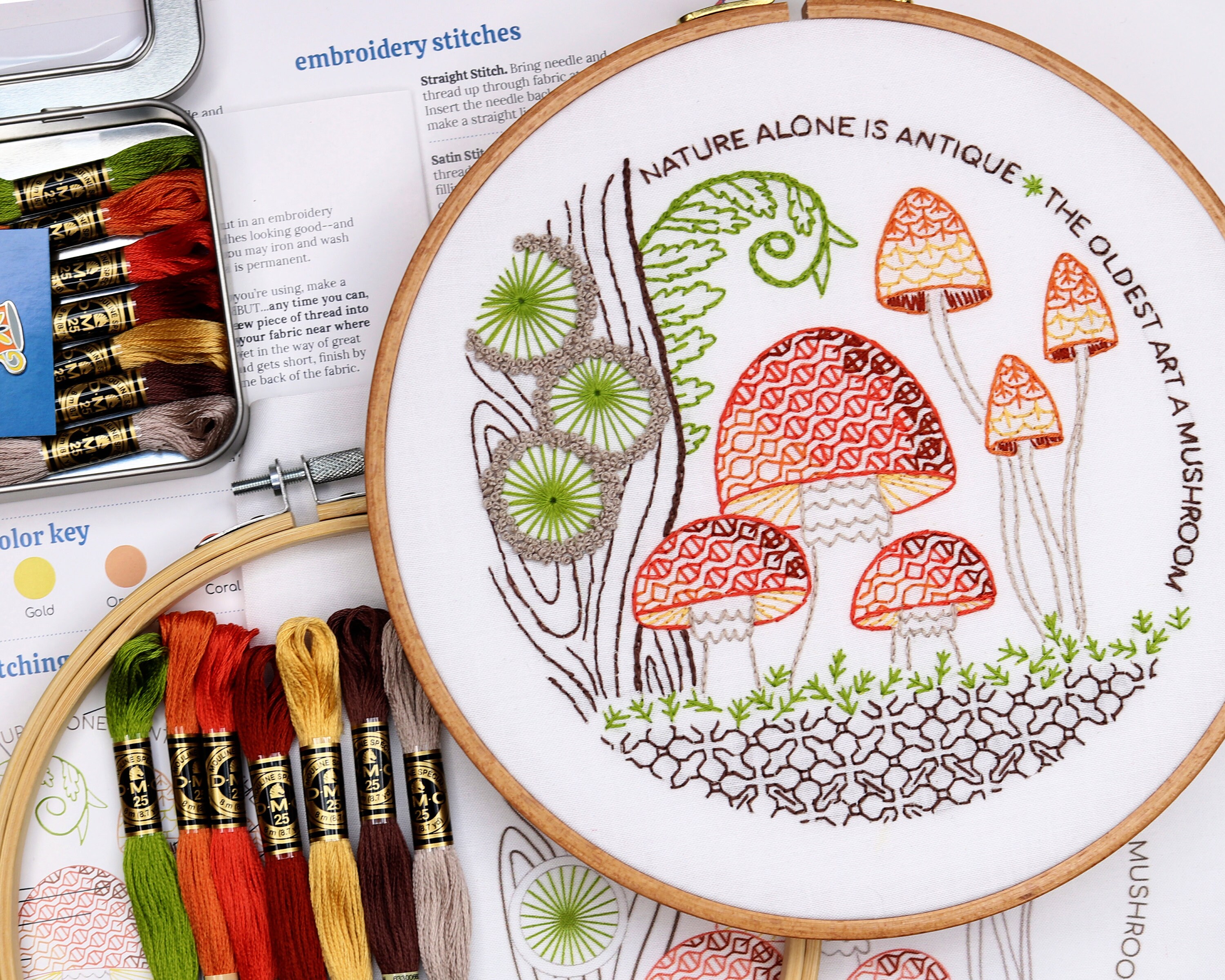 Toadstool Mushroom Embroidery Kit, Needlecraft, Embroidery Pattern
