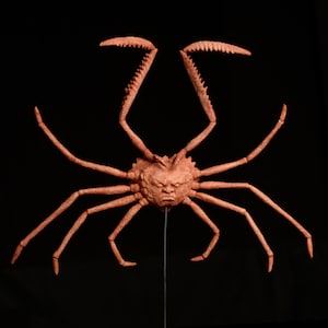 Handmade Crab ooak sculpture Creature Gothic decor macabre fantasy surreal art monster horror weird oddities goblin lobster sci fi mythos