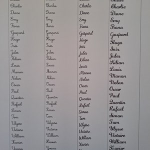 May include: A black and white chart displaying four columns labeled Police 1, Police 2, Police 3, and Police 4. Each column lists the same set of names from Alexandra to Zora, each rendered in a distinct black cursive or script typeface style.