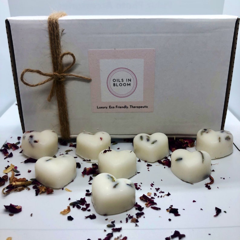 Introductory wax melt set