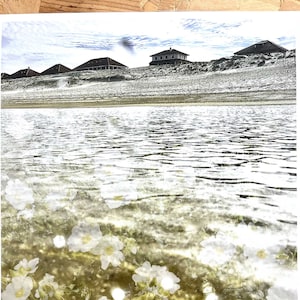 POSTER A3 Póster a Color - Decoración Pared - Foto Lista para enmarcar - Flores y Playa - Costa Atlántica - Costa de las Landas 30cm x 40cm