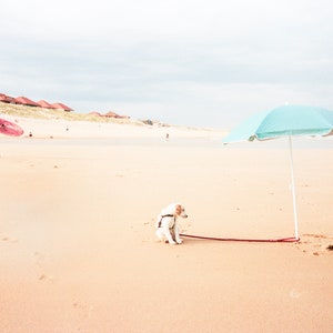 POSTER A3 Póster - Decoración de pared - Listo para enmarcar - Costa atlántica Landes Ocean Beach - Exposición larga - El perro 30x40cm