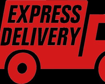 Express Delivery