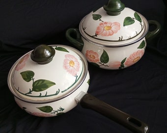 Vintage Emaille-Kochgeschirr Asta Dutch Oven-Germany.Wild Rose.Set bestehend aus 2 Emaille-Kochtöpfen und 1 mit Griff! Töpfe mit Deckel, 1980er Jahre, Rarität