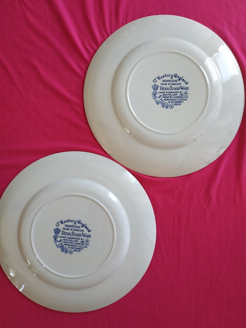 Antique Royal Tudor Plate Porcelain /2 Royal Tudor Ware borden gemerkt W.N. Mellor Ironstone made in England image 4