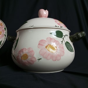 Villeroy Boch soup pot, saucepan Wild Rose Vitro porcelain from the 60s.Wild Rose Villeroy & Boch.Faience. Made in Germany.
