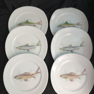 Set of 6 Plates.Vintage Decorative Plate, Germany - Plate 1960-1970s(25 cm)Set of 6 Vintage Fish Plates, Plates