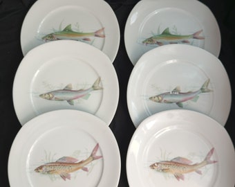Ensemble de 6 assiettes. Assiette décorative vintage, Allemagne - Assiette années 1960-1970 (25 cm)Ensemble de 6 assiettes à poisson vintage, assiettes