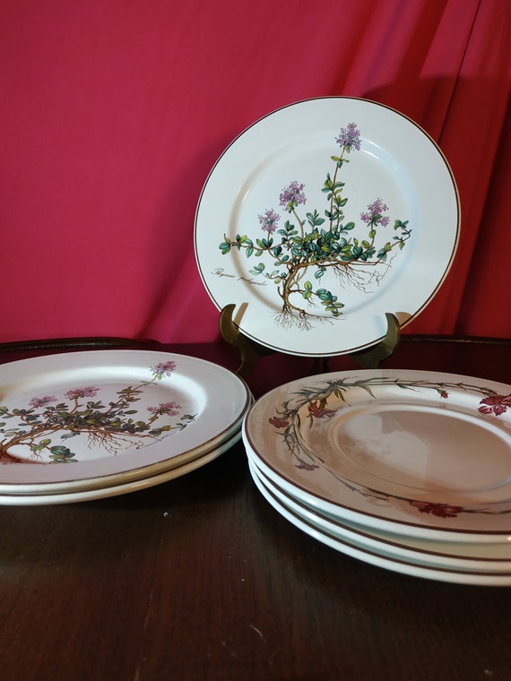 3 3 Botanica Vintage Villeroy e Boch 3 piatti 20 cm 3 piatti 18,5 cm  Modello Botanica Thymus Pulegioides Made in Luxembourg,Villeroy & Boch -   Italia