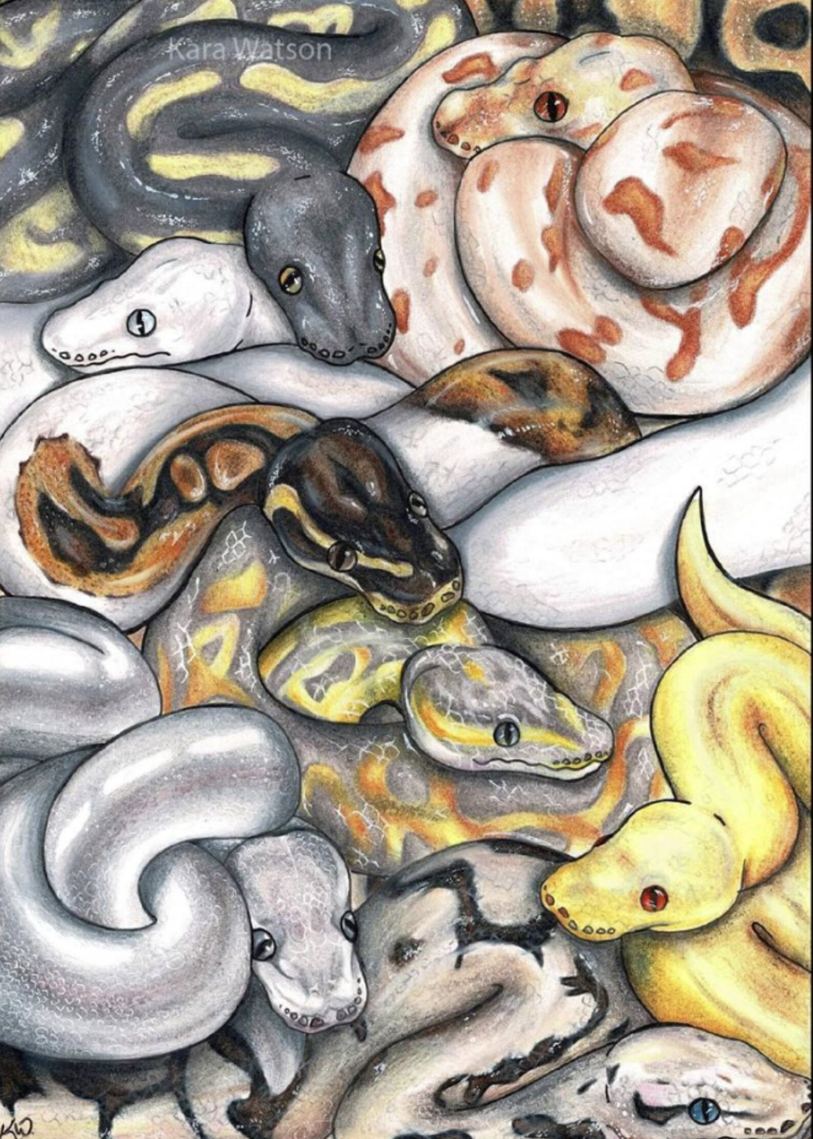 Art Print Pile O' Pythons Etsy