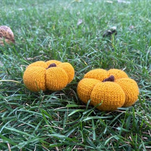 May include: Two knitted pumpkins in shades of orange and brown rest on a bed of green grass. The pumpkins have a ribbed texture and a stem. The scene evokes a sense of autumn and harvest.