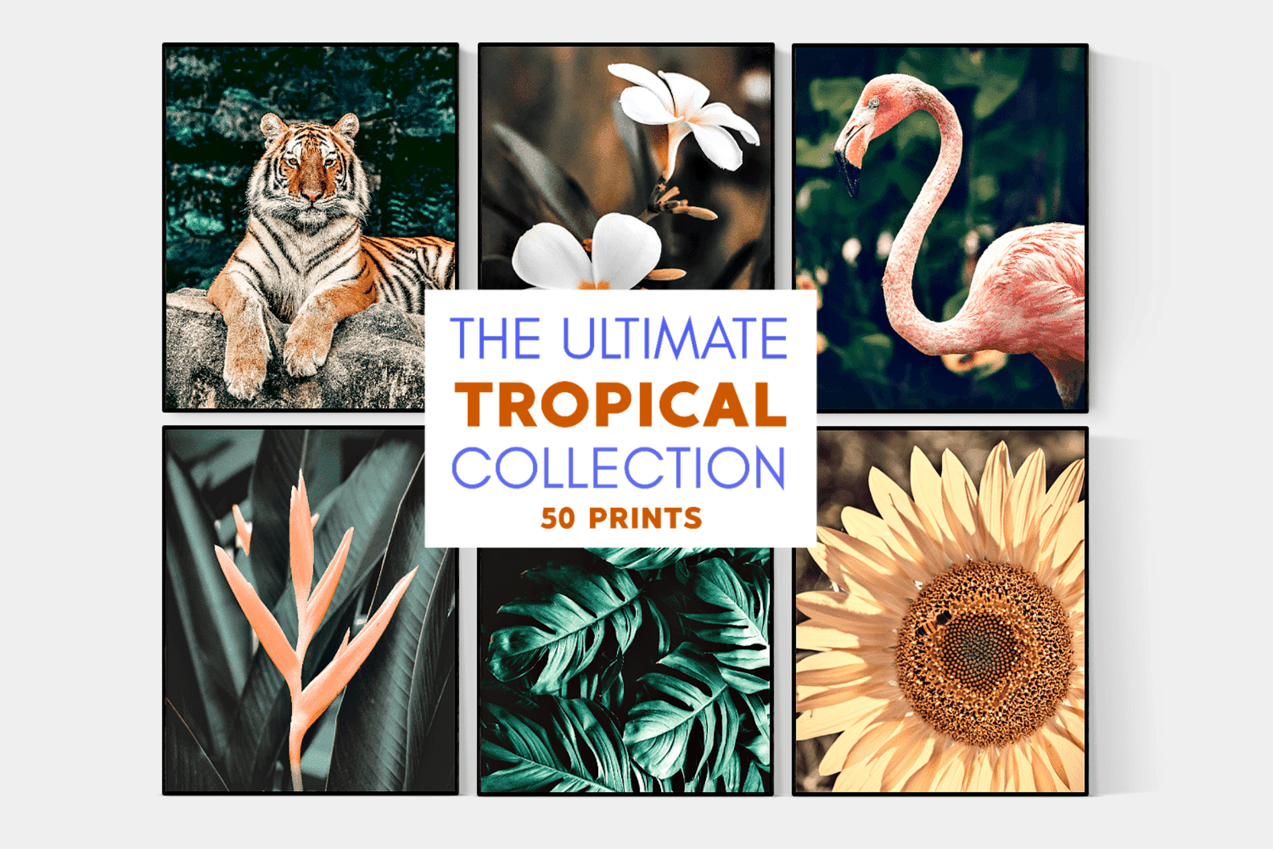 Set of 50 Tropical Wall Art Prints Tropical Room Decor Etsy