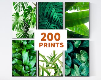 Set of 200 Botanical Wall Art Print, Leaf Print, Botanical Room Decor, Monstera Leaf Print Set, Tropical Palm Leaf, Tropical Plants Print