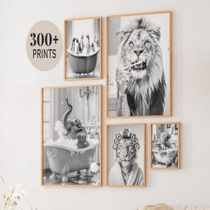 May include: A collection of framed black and white prints featuring animals in humorous poses. The prints include a lion brushing its teeth, an elephant in a bathtub, and a tiger with curlers. The text "300+ PRINTS" is also visible.