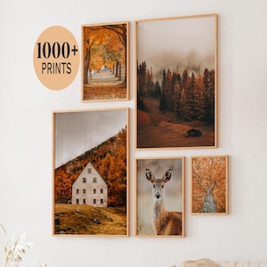 Set of 1000 Fall Prints, Fall Wall Art, Autumn Wall Art Prints, Fall Printables, Fall Prints Download, Autumn Poster, Autumn Landscape Print