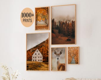 Set of 1000 Fall Prints, Fall Wall Art, Autumn Wall Art Prints, Fall Printables, Fall Prints Download, Autumn Poster, Autumn Landscape Print