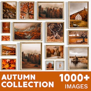 Set of 1000 Fall Prints, Fall Wall Art, Autumn Wall Art Prints, Fall Printables, Fall Prints Download, Autumn Poster, Autumn Landscape Print