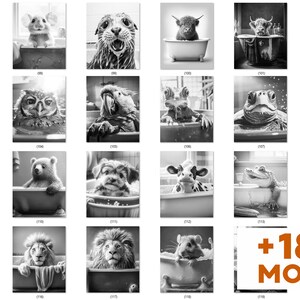 May include: A collection of black and white art prints featuring various animals in bathtubs. The images include a cat, mouse, otter, owl, bear, dog, cow, frog, and lion. The prints have a whimsical and humorous theme.