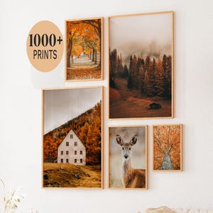 Könnte beinhalten: Ein Galerie-Wandset aus fünf gerahmten Drucken mit Herbstlandschaften, einem weißen Haus und einem Reh. Die Drucke zeigen orangefarbenes und braunes Laub, neblige Wälder und ein Reh. Ein kreisförmiger Grafiktext lautet 1000+ PRINTS.