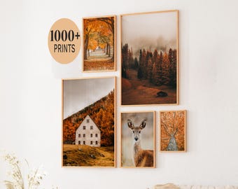 Set of 1000 Fall Prints, Fall Wall Art, Autumn Wall Art Prints, Fall Printables, Fall Prints Download, Autumn Poster, Autumn Landscape Print