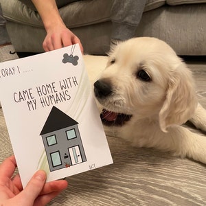 PACK CHIOT - Boy Dog / Téléchargement numérique - 8 cartes pour les premiers jours du chiot / Personnalisé