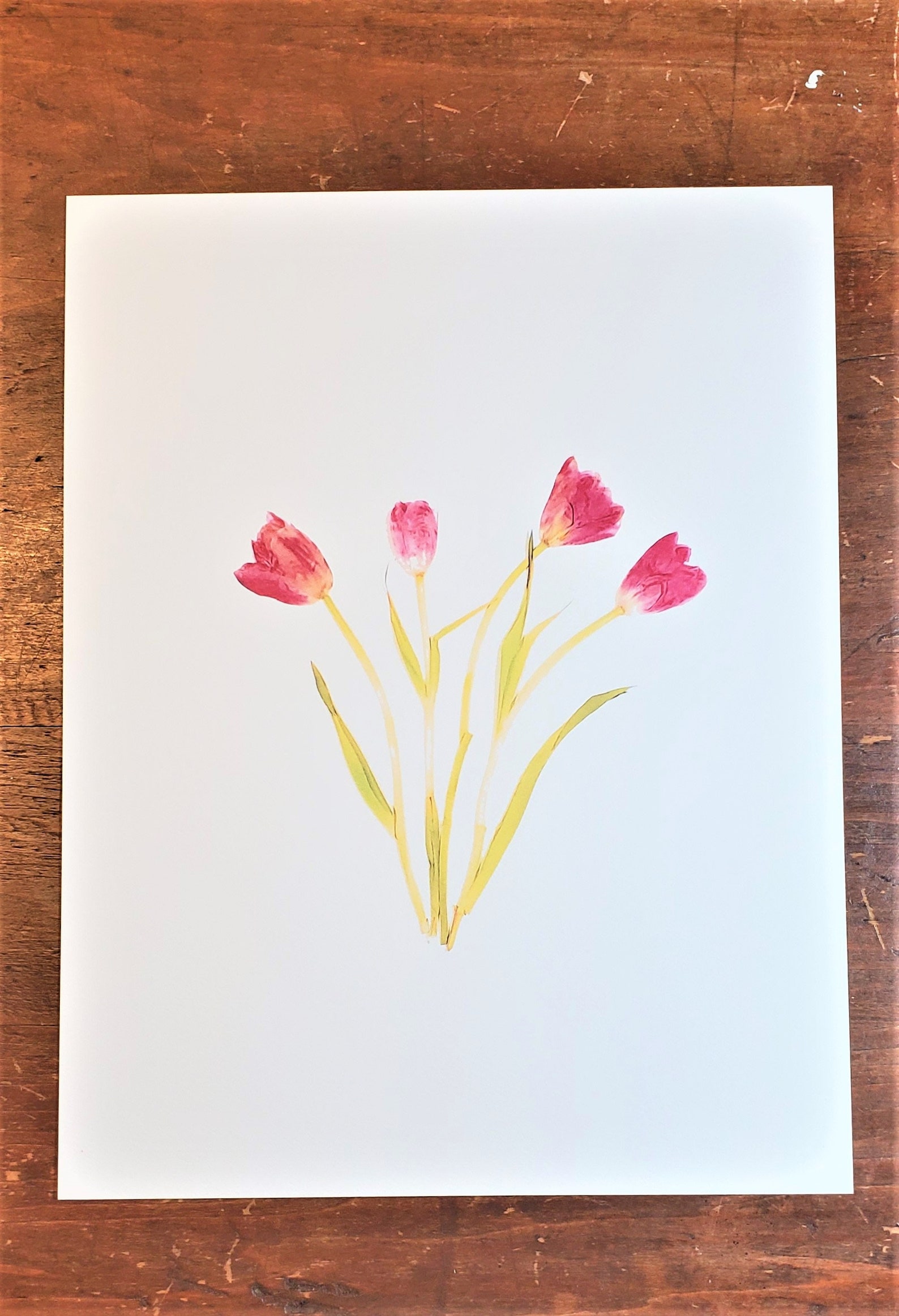 Mother's Day Gift Pressed Pink Tulips Print Spring Wall Etsy