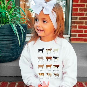 Sudadera con razas de vacas, camiseta de vaca para niños pequeños, camiseta de vaca de manga larga, regalo para amantes de las vacas para niños, suéter de vaca para niños, regalo de vaca para niños pequeños
