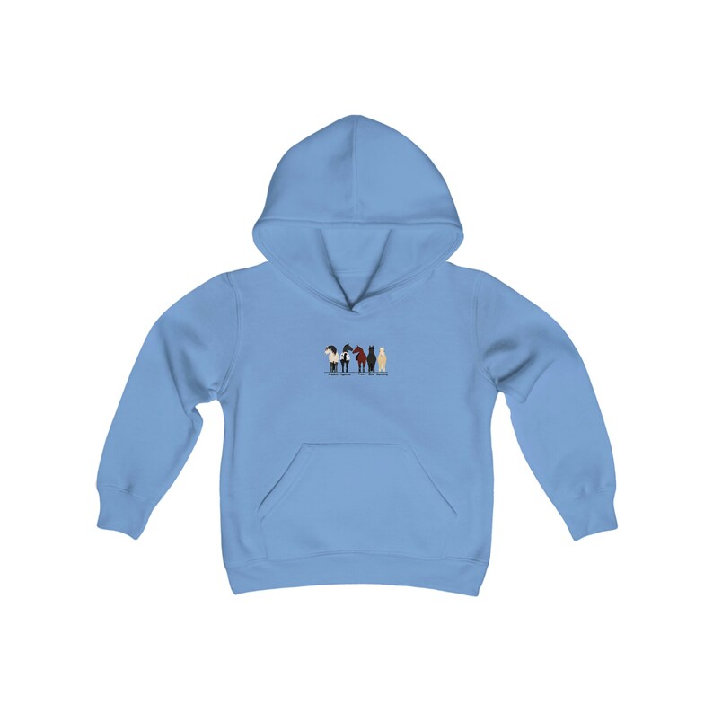 Youth Breeds of Horses Hoodie, Horse Sweatshirt, Horse Gifts, Horse Shirt, Horse Gift, Horse Lover Gift, Horse Girl, Horse Rider Gift, image 6