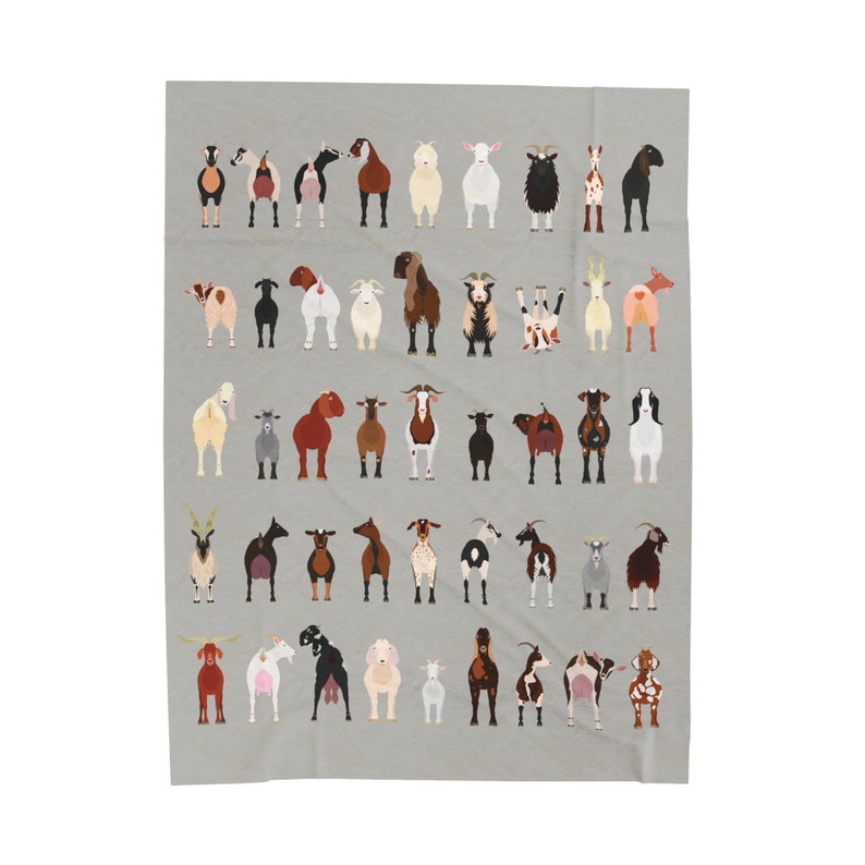 May include: A grey background with a collection of 40 different goats in various poses and colours. The goats are all facing forward and have different markings and horns.