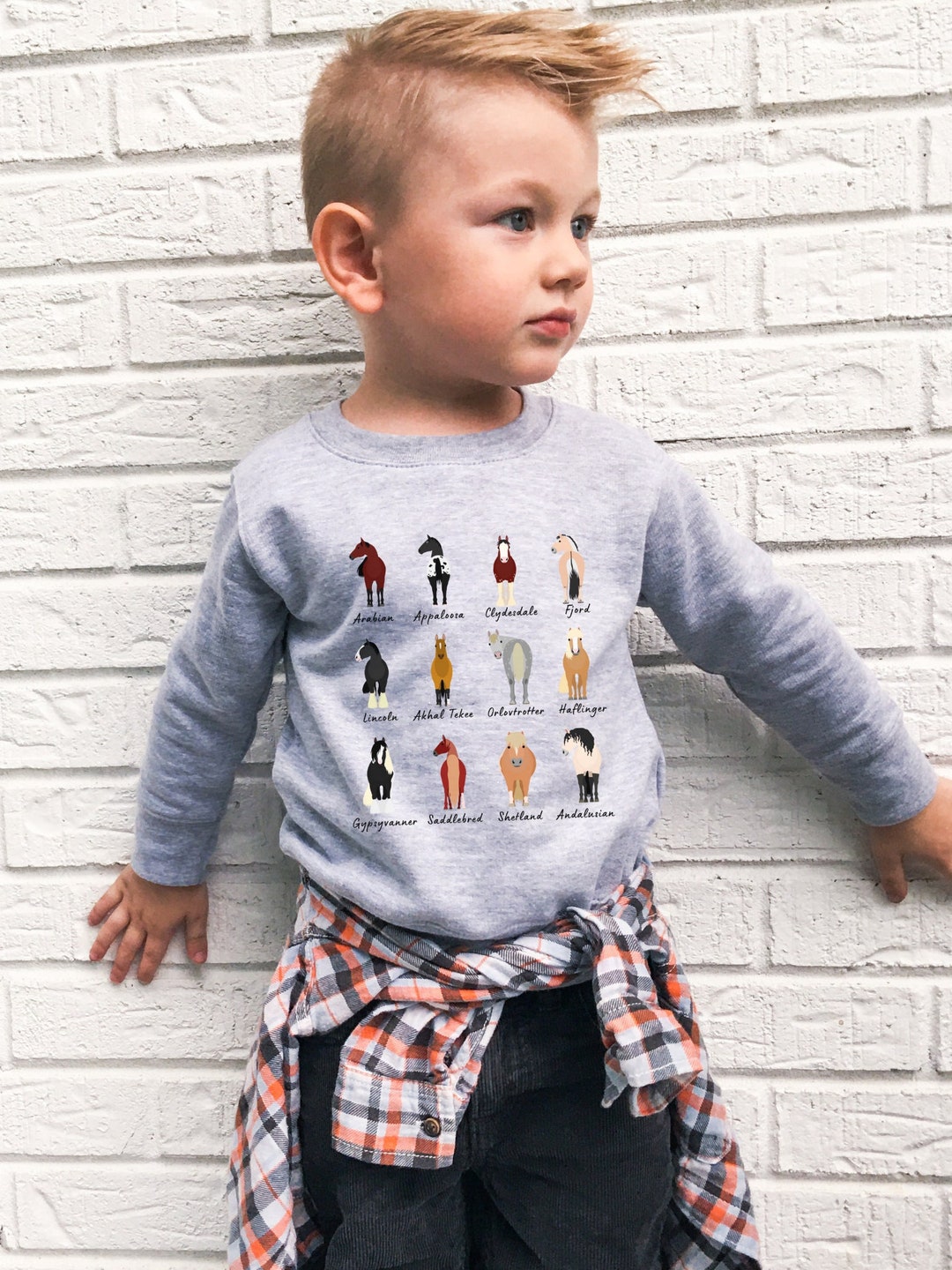 Claire & Charlie Toddler Boys Royal Blue Striped Shirt - Applique Horse main image 1