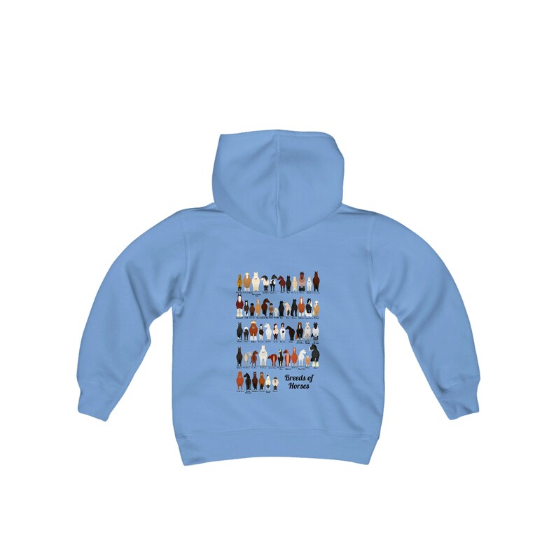 Youth Breeds of Horses Hoodie, Horse Sweatshirt, Horse Gifts, Horse Shirt, Horse Gift, Horse Lover Gift, Horse Girl, Horse Rider Gift, Carolina Blue