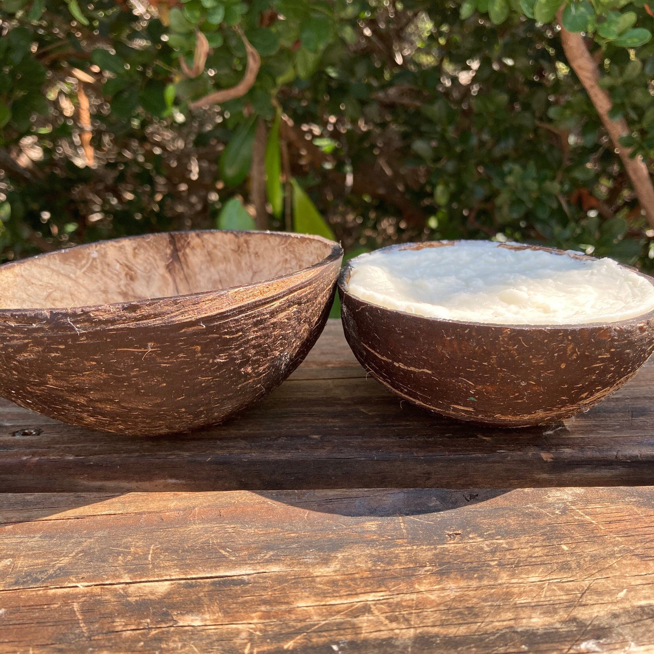 Solid Soap Bowl Coconut Bowl Reusable Eco Friendly Etsy