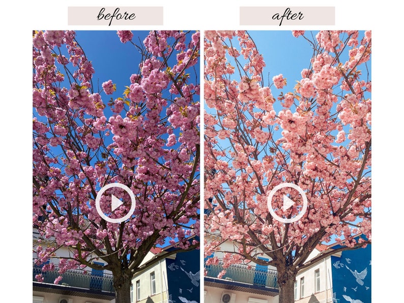 Op de afbeelding: Een fotocollage die het voor en na effect laat zien van een fotobewerkingfilter. De voor-afbeelding toont een roze kersenbloesemboom met een blauwe lucht op de achtergrond. De na-afbeelding toont dezelfde boom met een meer levendige roze kleur en een helderdere lucht.