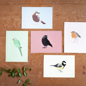 Cartões postais de pássaros minimalistas e coloridos - Conjunto de 5 - Misture e combine