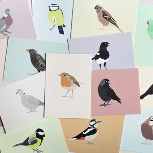 Minimalistic and Colourful Bird Postcards Set of 10 Mix & Match image 2
