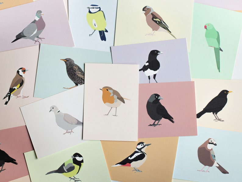 Minimalistic and Colourful Bird Postcards Set of 10 Mix & Match image 2